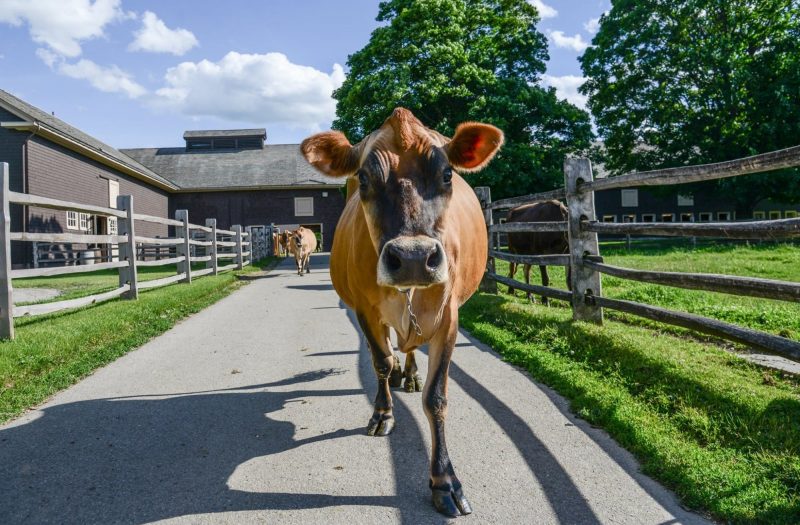 13490664_1228320227218137_480178512204910062_o