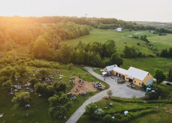 A farm of fermentory