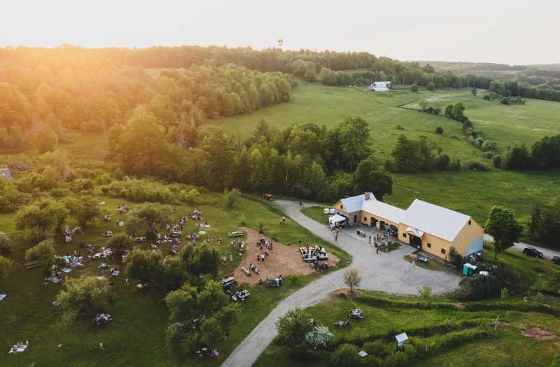 A farm of fermentory