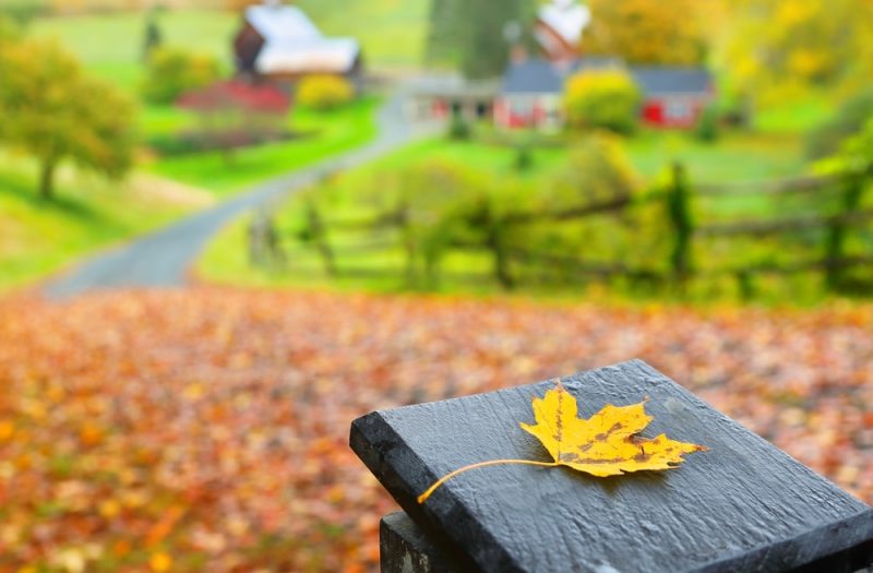 Beautiful rural scene of a farm with views of the best Vermont Fall foliage